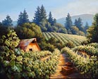 Sunlit Vineyard